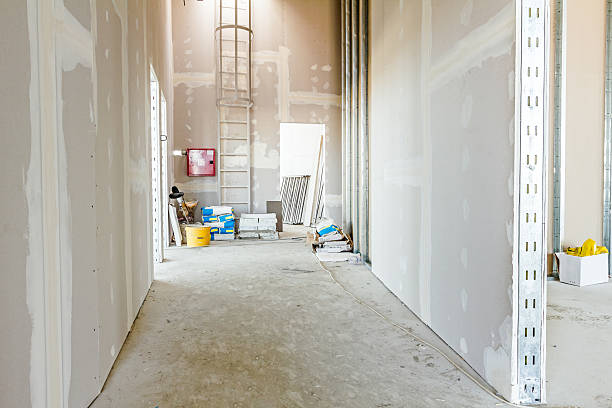Best Attic Mold Removal  in Sabetha, KS